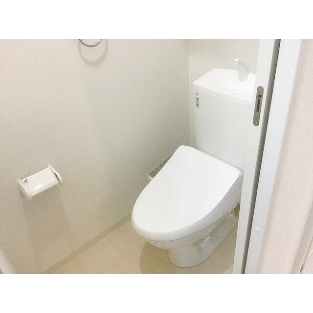 ʪ̿6