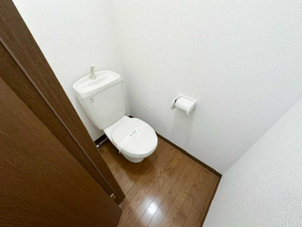 ʪ̿6