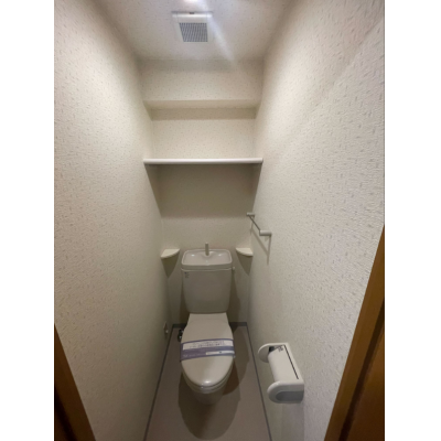 ʪ̿5