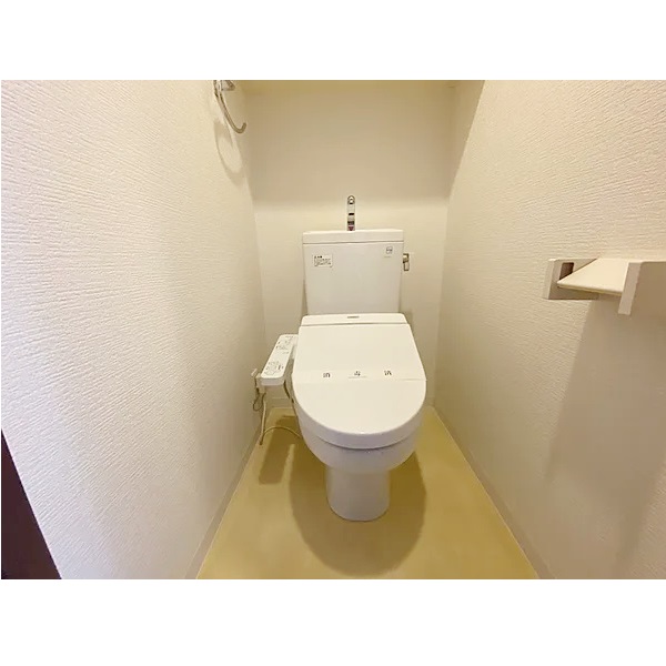ʪ̿5