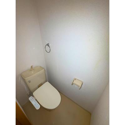 ʪ̿3