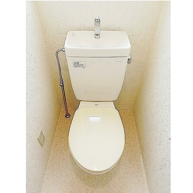 ʪ̿6