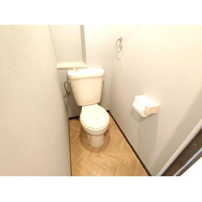 ʪ̿5