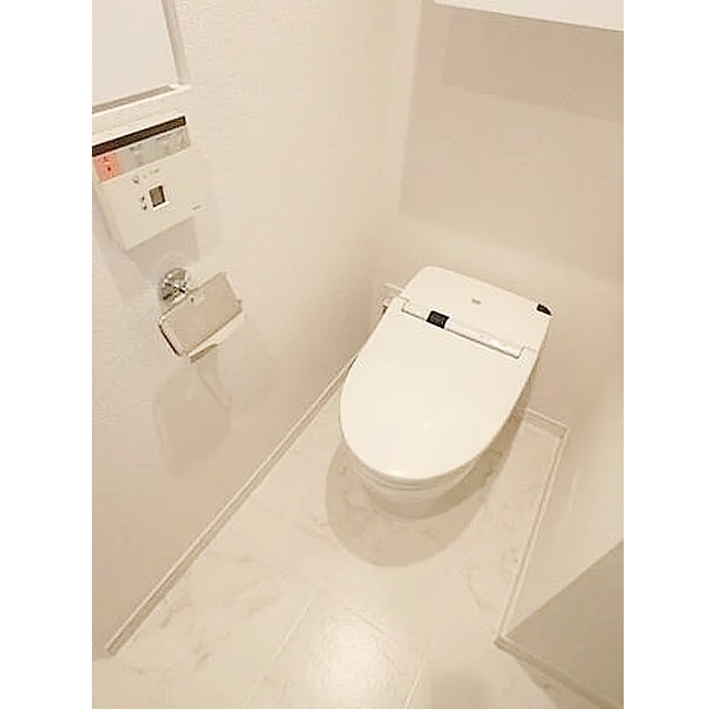 ʪ̿6
