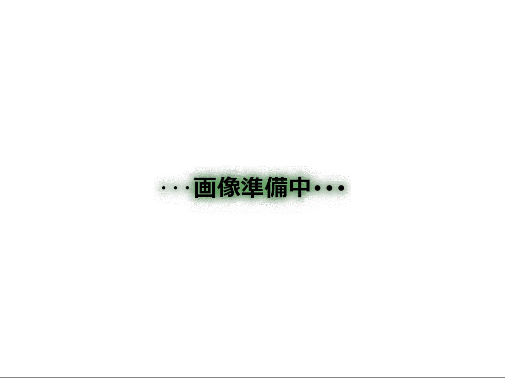 ʪ̿2