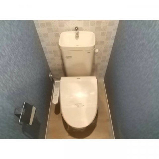 ʪ̿6