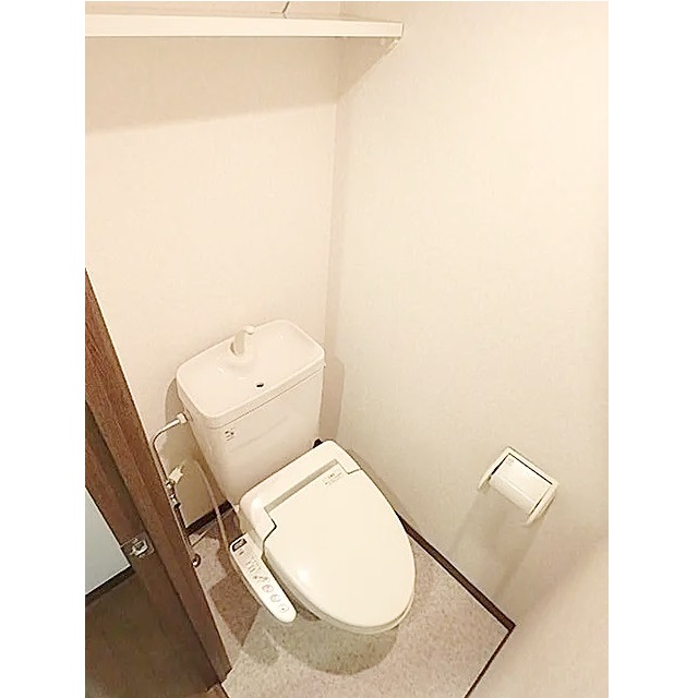 ʪ̿5