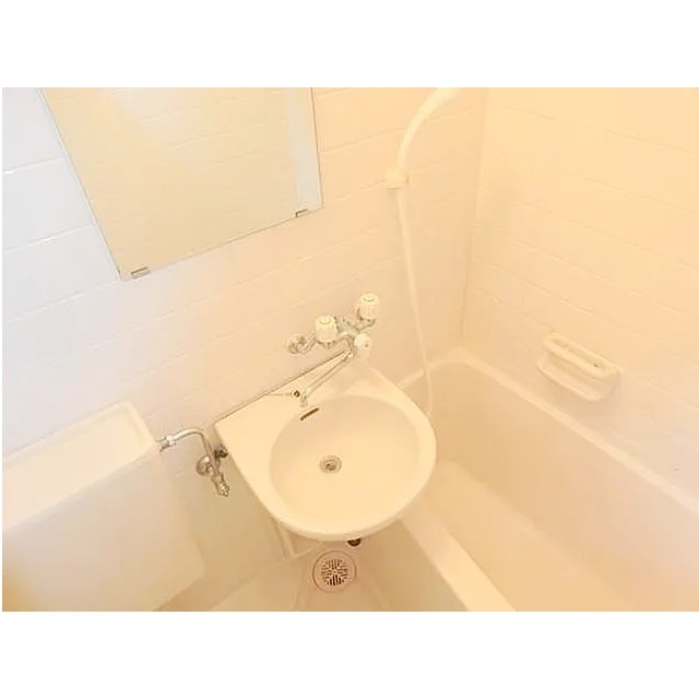 ʪ̿4