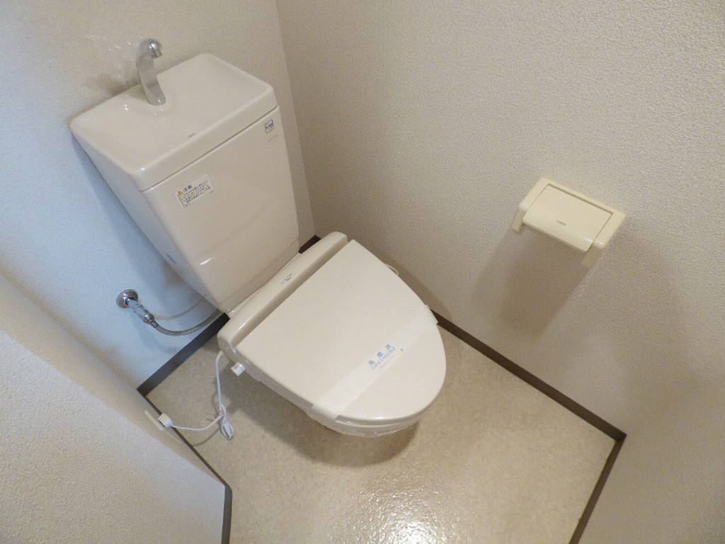 ʪ̿6