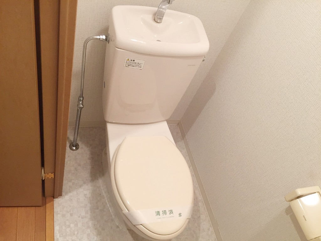 ʪ̿6
