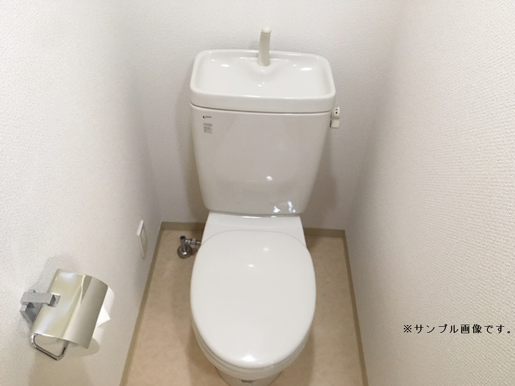 ʪ̿6