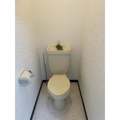 地図画像