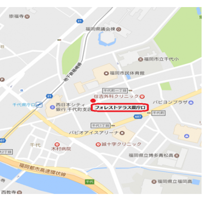 Ͽ޲